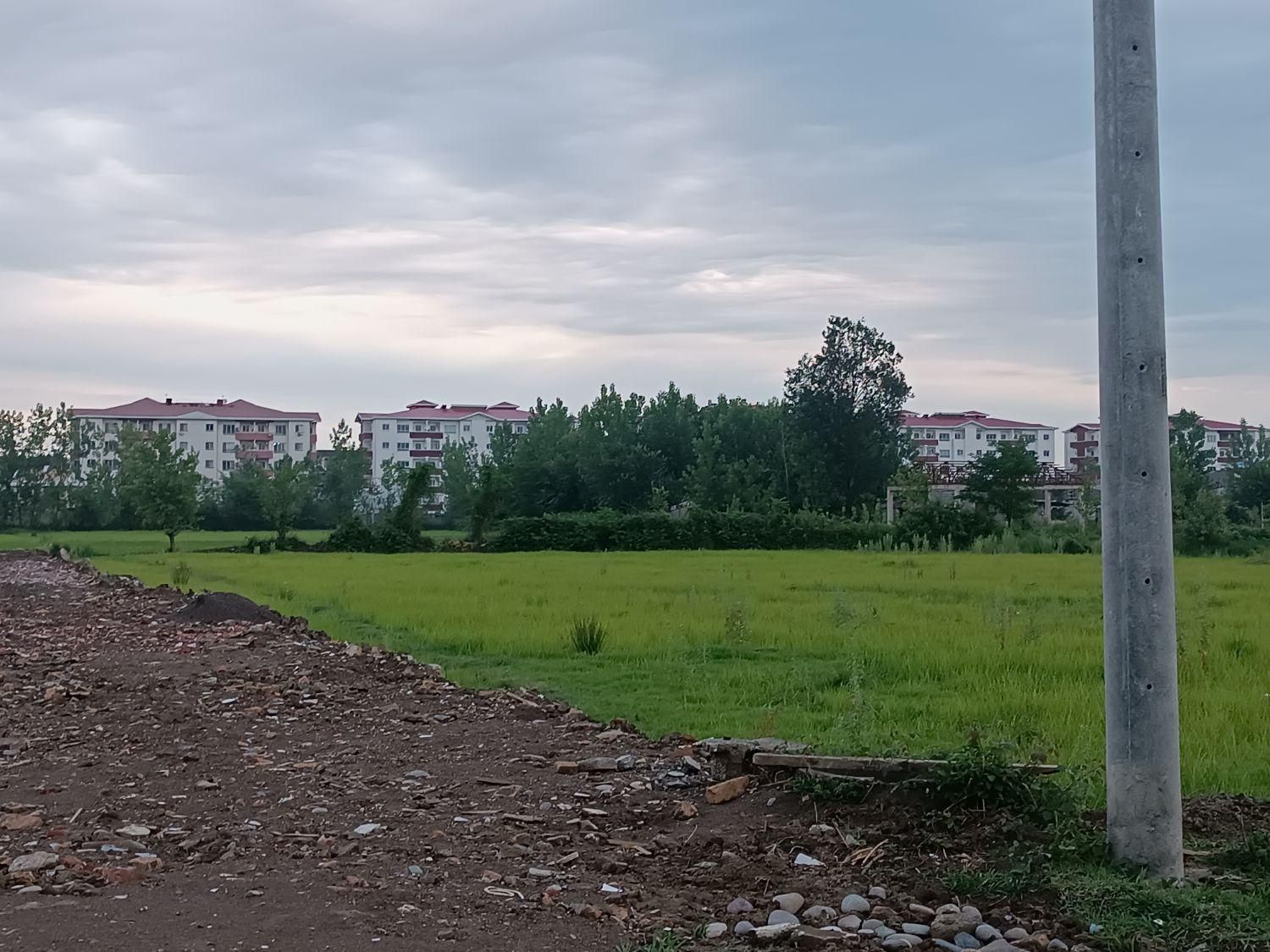 فروش زمین مسکونی اقساطی پشت لاکانشهر رشت|فروش زمین و ملک کلنگی|رشت, لاکان شهر|دیوار