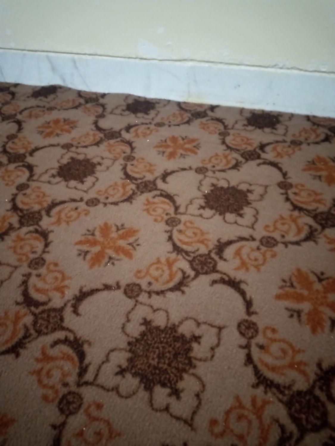 موکت|موکت|کنارک, |دیوار