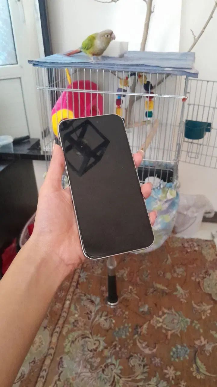 اپل iphone 14 Pro Max با حافظهٔ ۲۵۶ گیگابایت|موبایل|تهران, نیکنام|دیوار