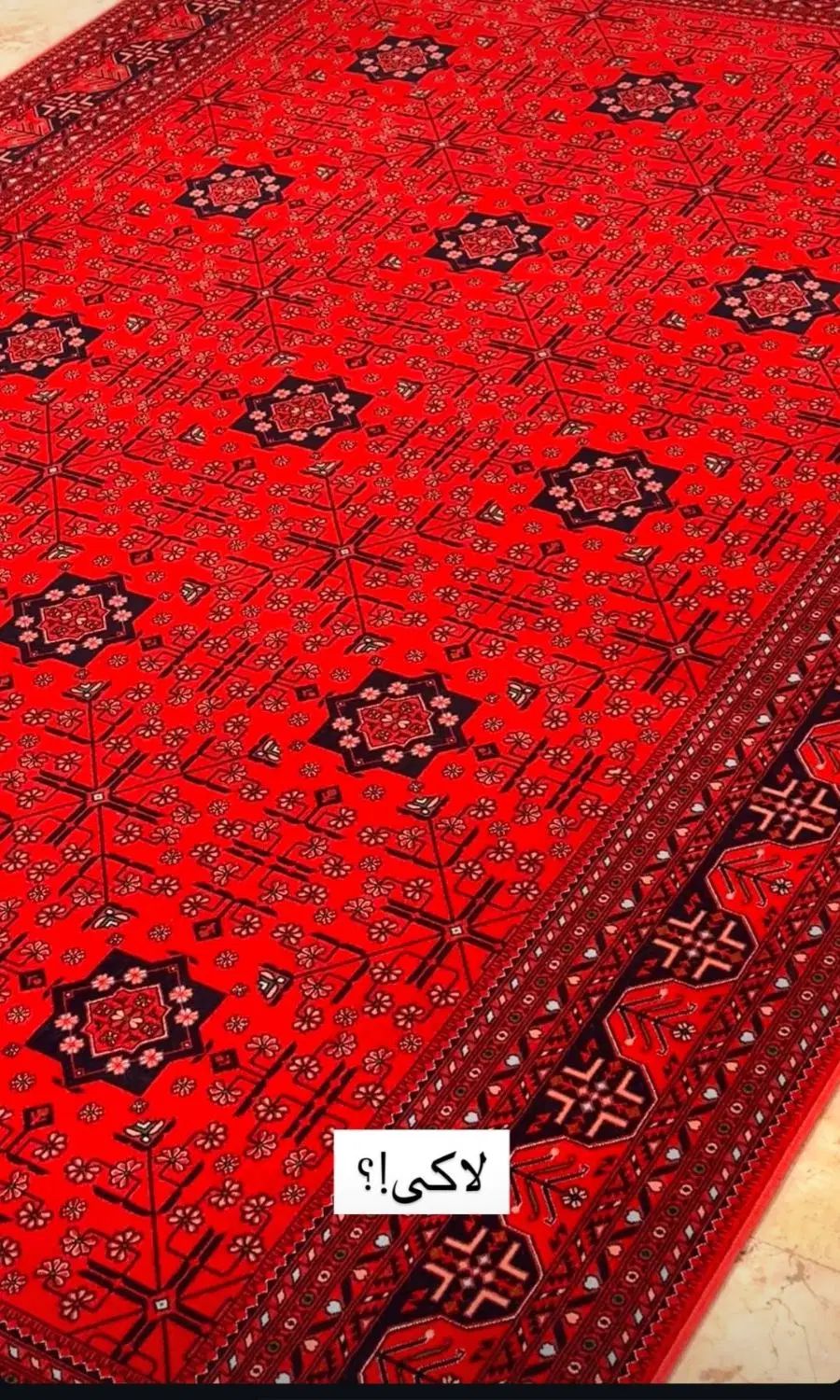 ۷۰۰شانه و ۱۲۰۰شانه فرشهای لاکی جدید|فرش|اصفهان, شاهزید|دیوار