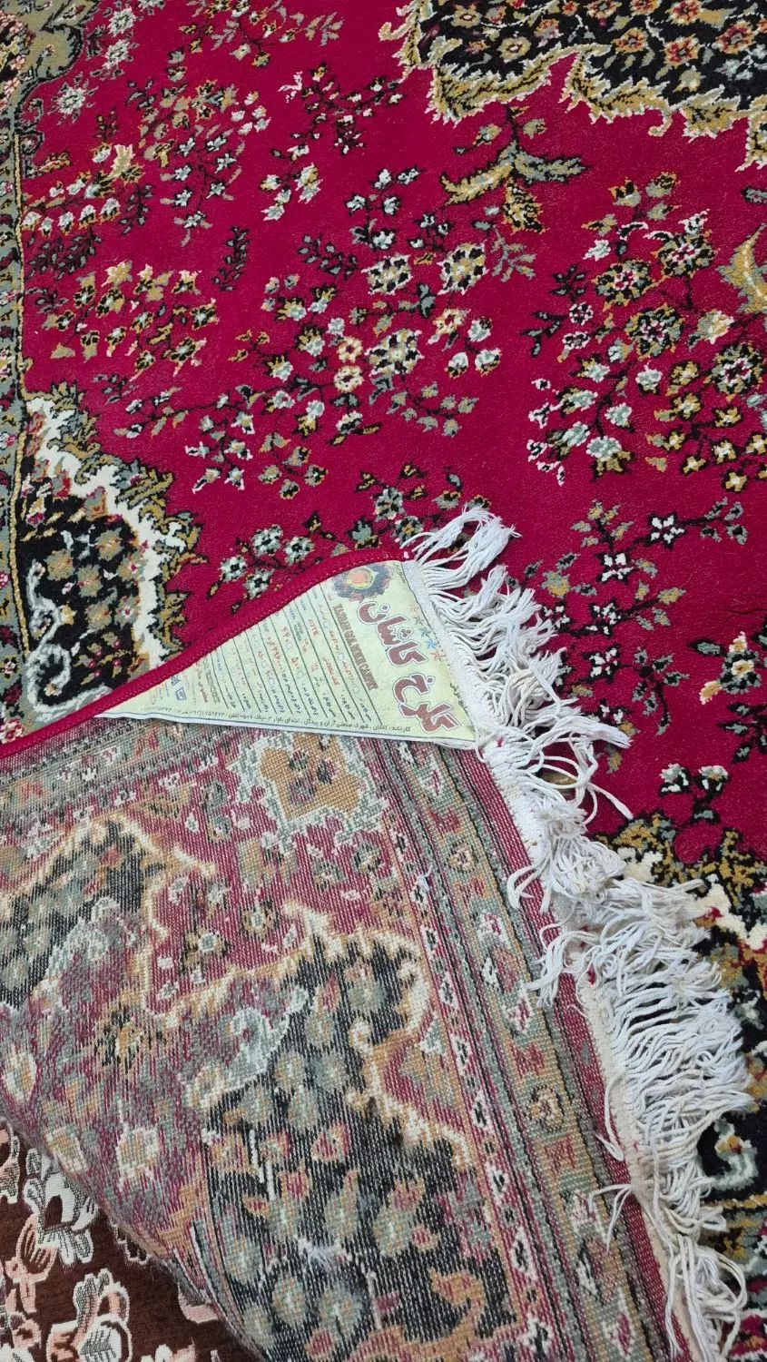 فروش فرش ۶ متری گلرخ کاشان وفرش کناره ماشینی|فرش|رشت, سعدی (تختی)|دیوار