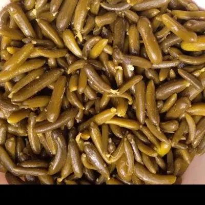 خیارشور همدان|خوردنی و آشامیدنی|مشهد, اروند|دیوار