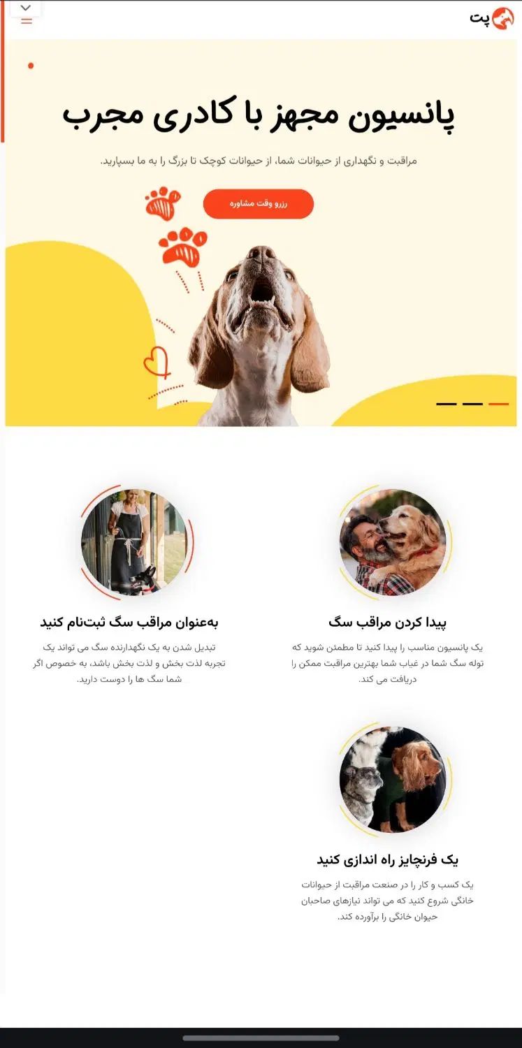 طراحی سایت و ربات تلگرام به صورت اختصاصی|خدمات رایانه‌ای و موبایل|مشهد, جانباز|دیوار