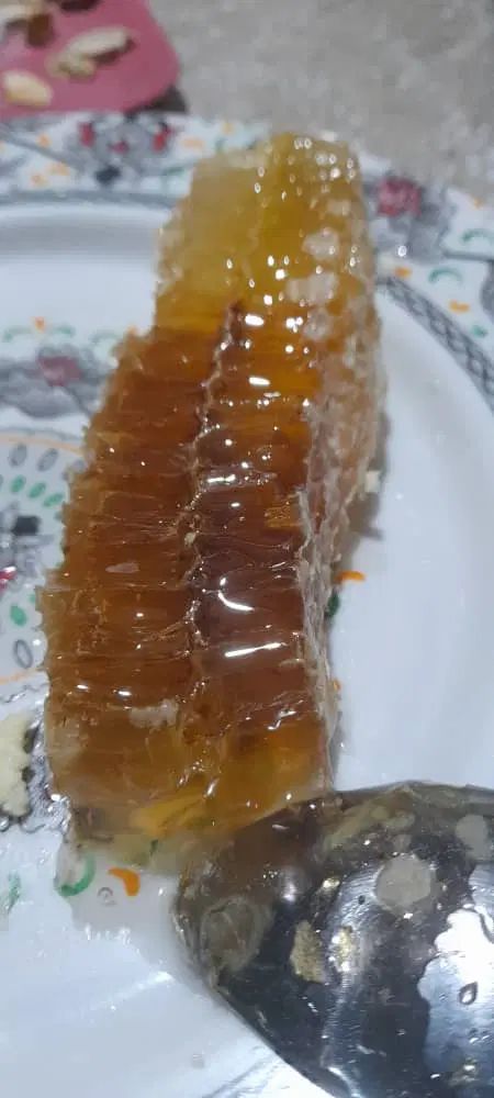 عسل ۱۰۰درصد خالص|خوردنی و آشامیدنی|رشت, پارک شهر|دیوار