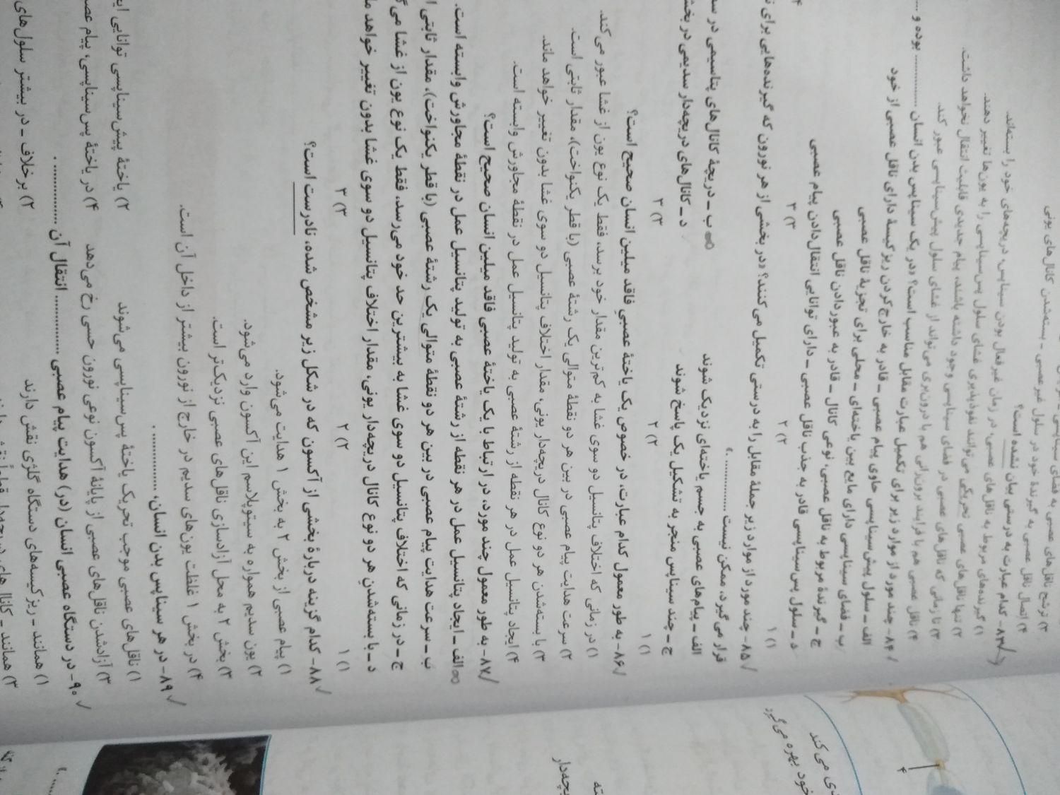 کتاب کنکور زیست یازدهم خیلی سبز|لوازم التحریر|شهرکرد, |دیوار