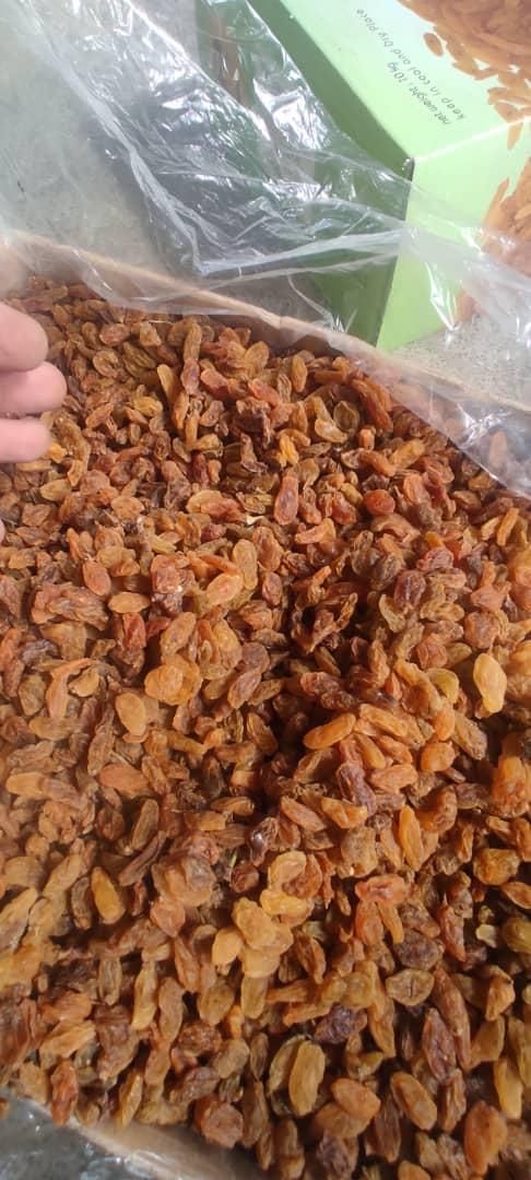 کشمش آفتابی درجه یکه خشکه کیسه سبز خدادادی|عمدهفروشی|مشهد, کوی سیدی|دیوار