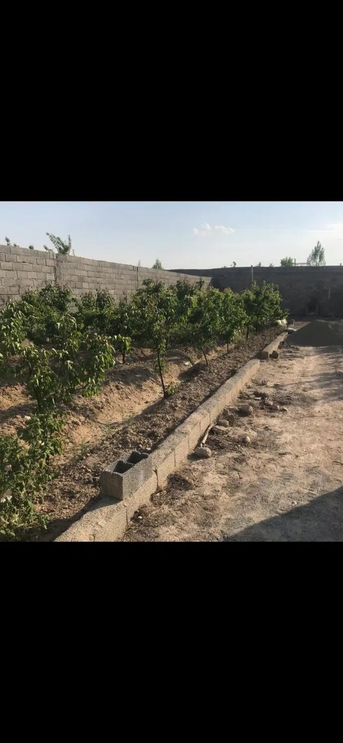 250 متر باغچه با نهال های جوان در منطقه شهریار|فروش دفتر صنعتی، کشاورزی، تجاری|فردوسیه, |دیوار