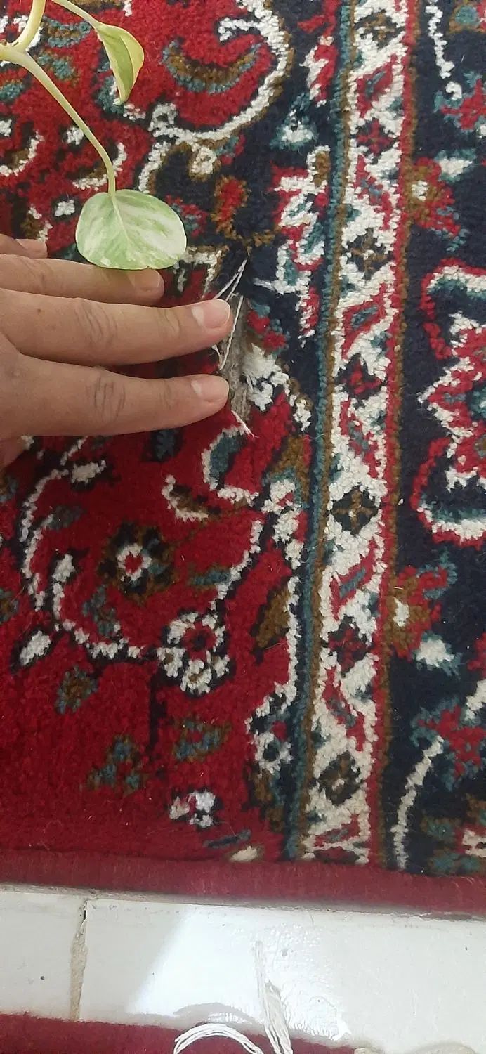 فرش کناره ۱ در ۲۲۰|فرش|کرمانشاه, |دیوار