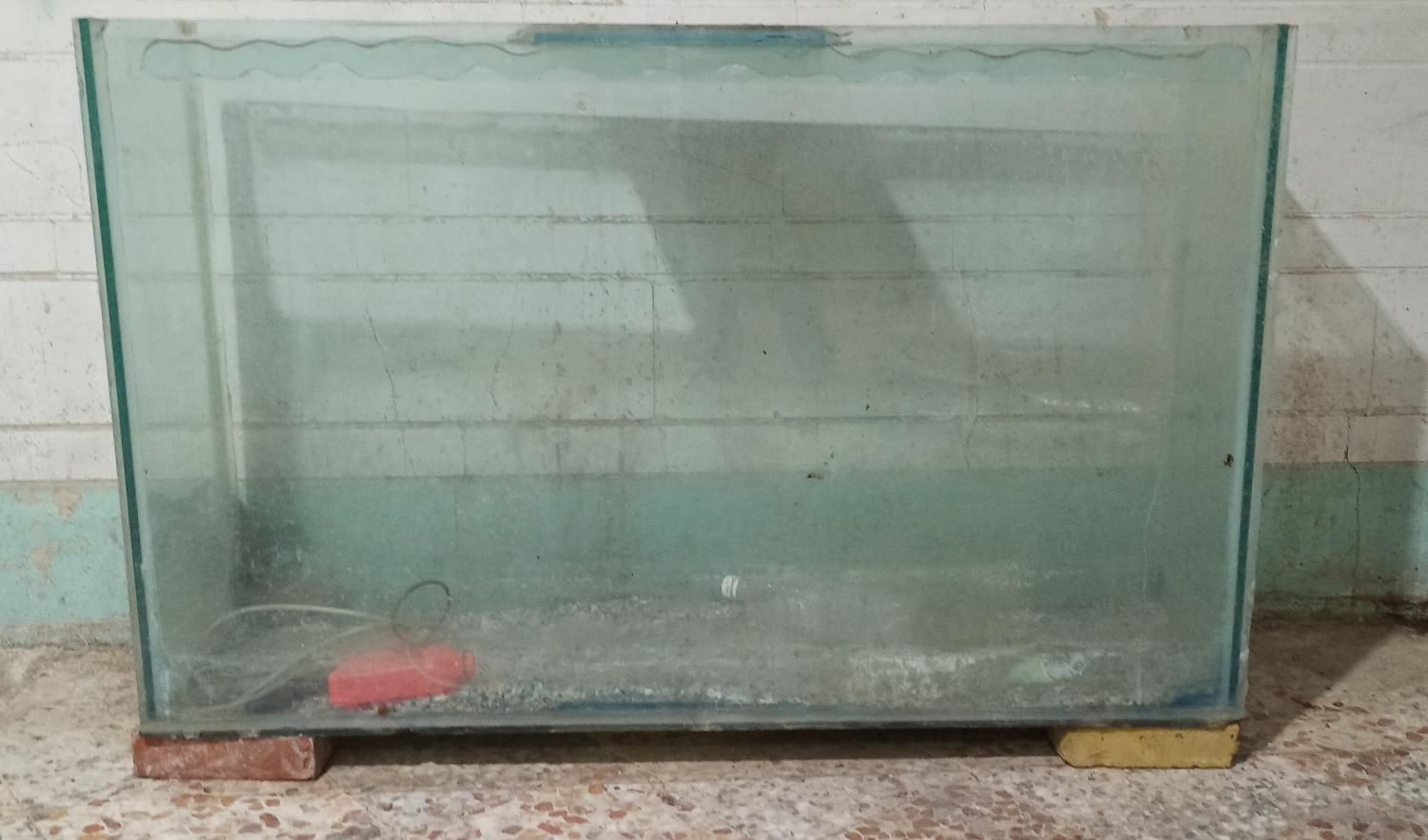 آکواریوم|ماهی|اهواز, کمپلو جنوبی|دیوار