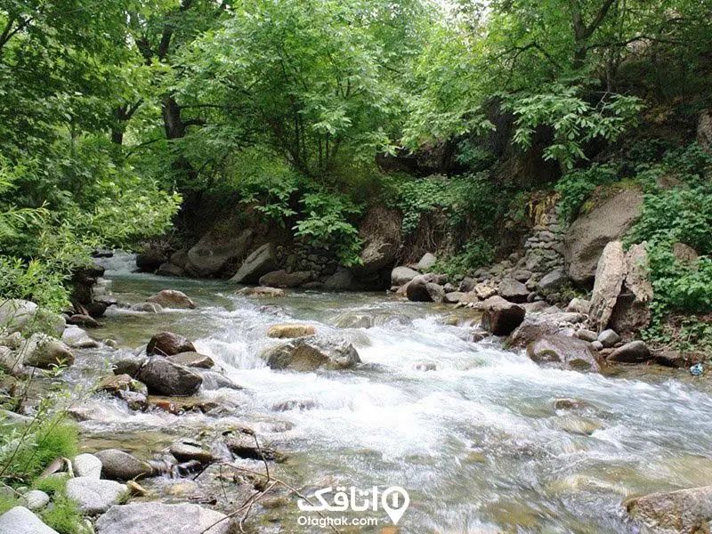تورشاد یک روزه برقان|تور و چارتر|کرج, باغستان|دیوار