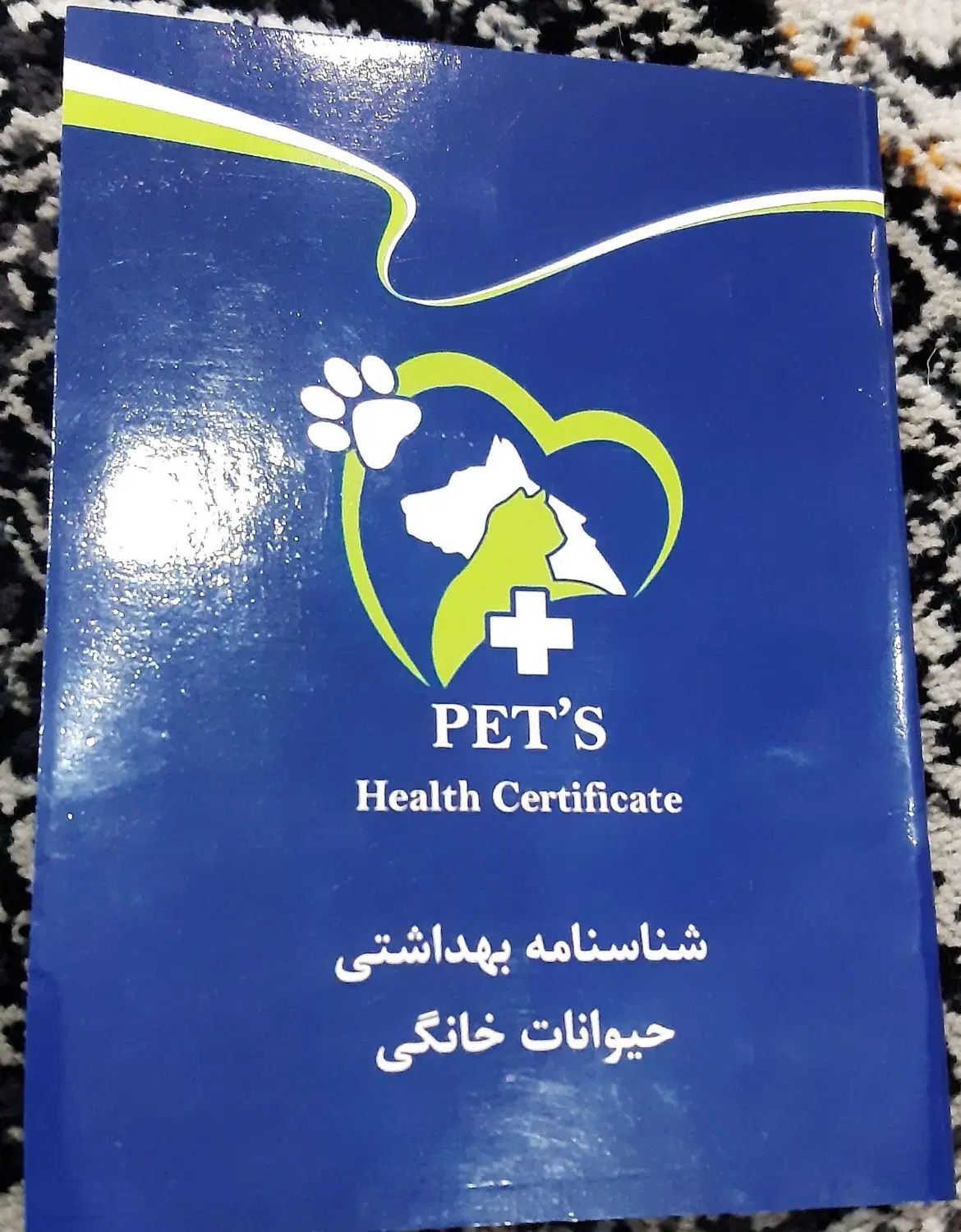 سگ تری یر زرنگ و بازی گوش دارای شناسنامه ۴/۵۰۰|سگ|مشهد, کشاورز|دیوار
