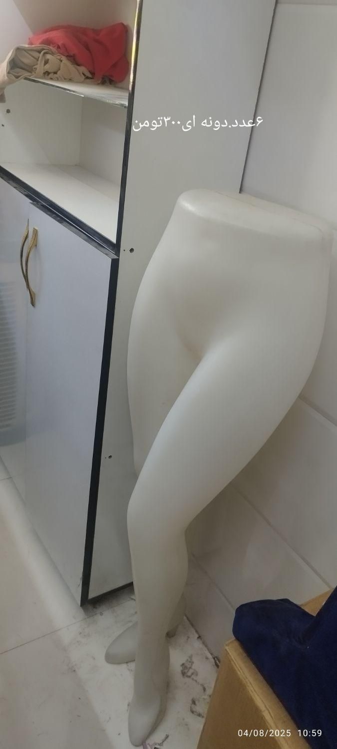 پیشخوان.مانکن قفسه.استند.|فروشگاه و مغازه|قم, سید معصوم|دیوار