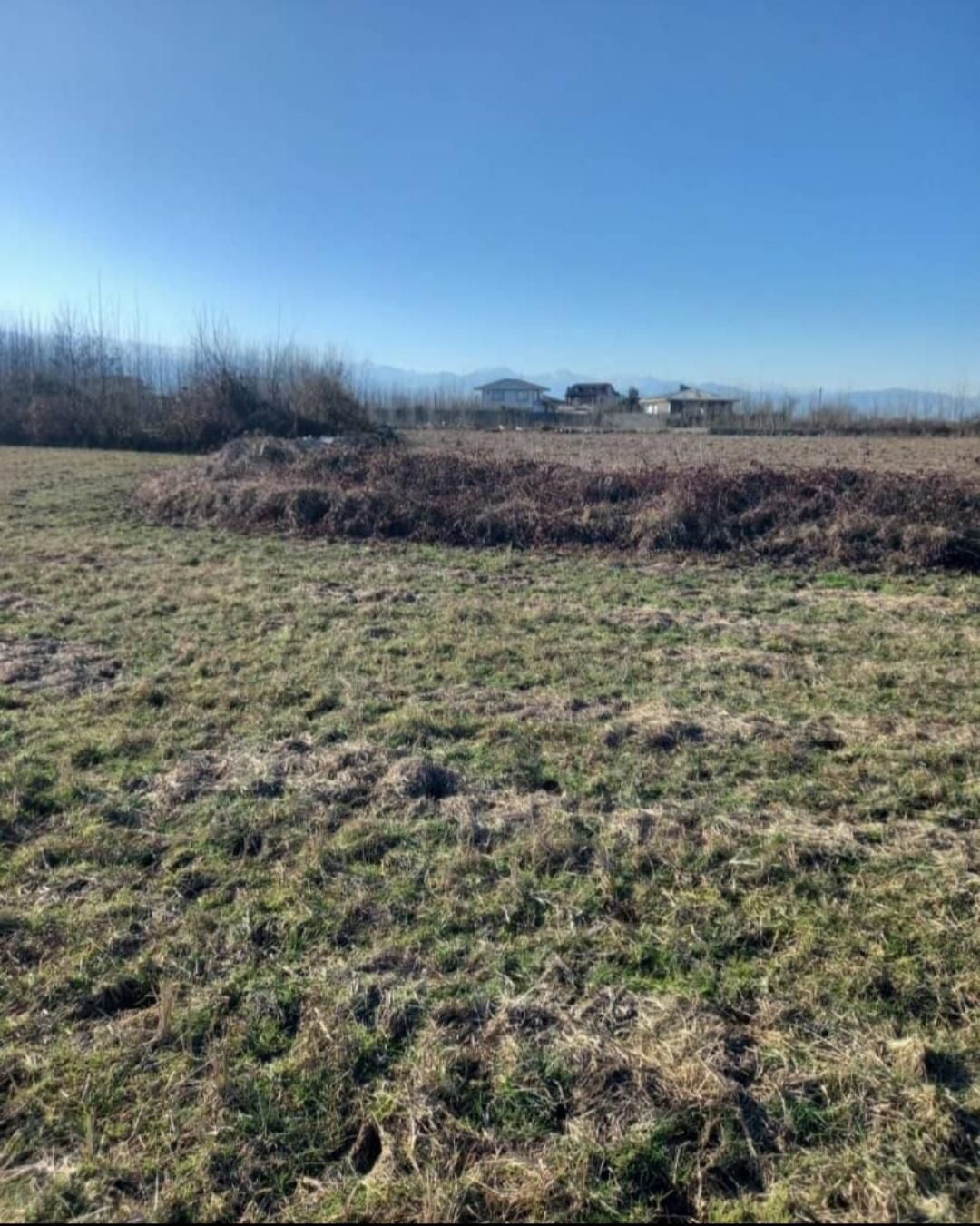 زمین باغی خارج طرح مناسب درختکاری|فروش دفتر صنعتی، کشاورزی، تجاری|صومعه‌سرا, |دیوار