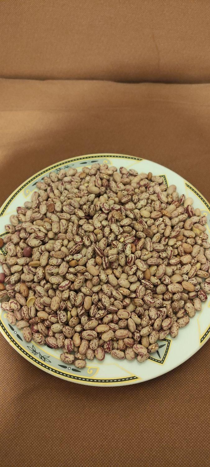 انواع حبوبات برنج ماکارانی قندشکر چای روغن رب|خوردنی و آشامیدنی|اسلام‌شهر, |دیوار