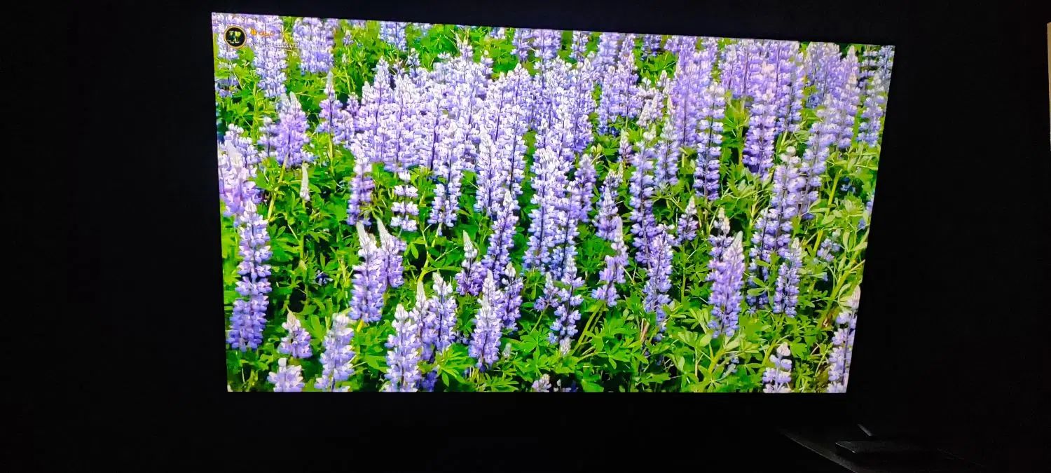 تلویزیون 4k پنجاه اینچ ایکس ویژن|تلویزیون و پروژکتور|اصفهان, شهریار|دیوار