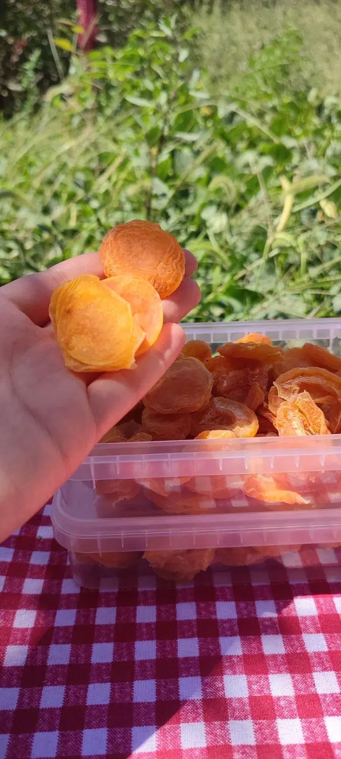 محصولات ارگانیک مزرعه ما|خوردنی و آشامیدنی|مشهد, فدک|دیوار