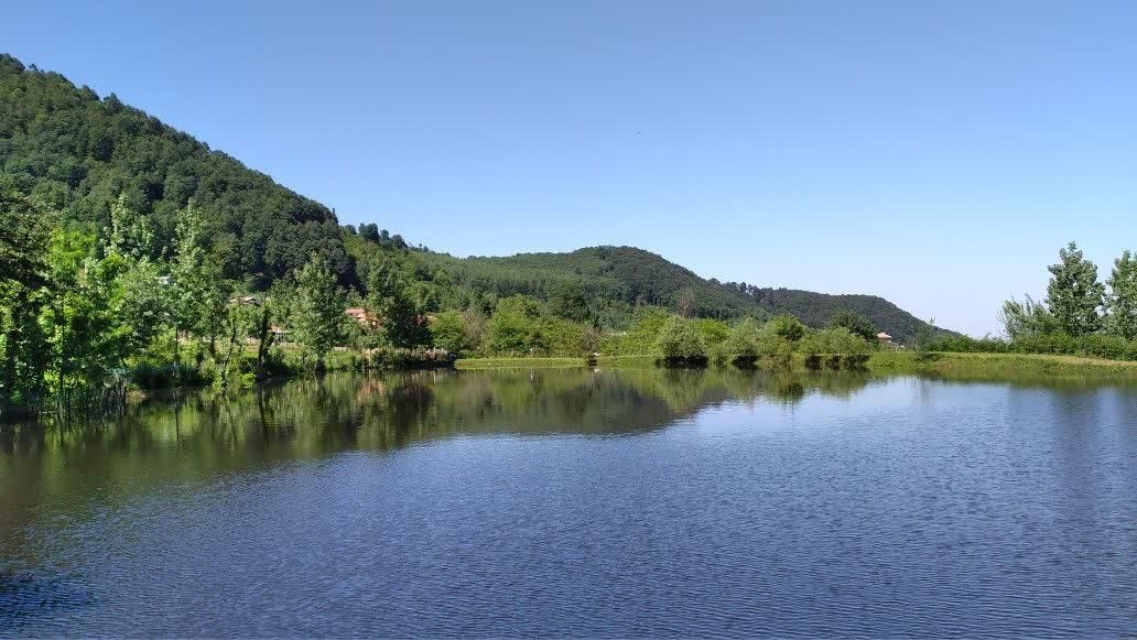 اجاره سالیانه ویلا جنگلی در دل طبیعت|اجارهٔ خانه و ویلا|ماسال, |دیوار