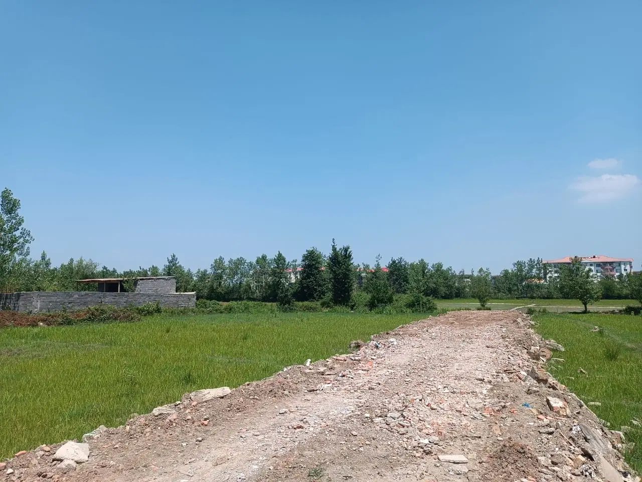 فروش زمین مسکونی به مساحت ۱۵۰۸ متر مربع|فروش زمین و ملک کلنگی|رشت, لاکان شهر|دیوار