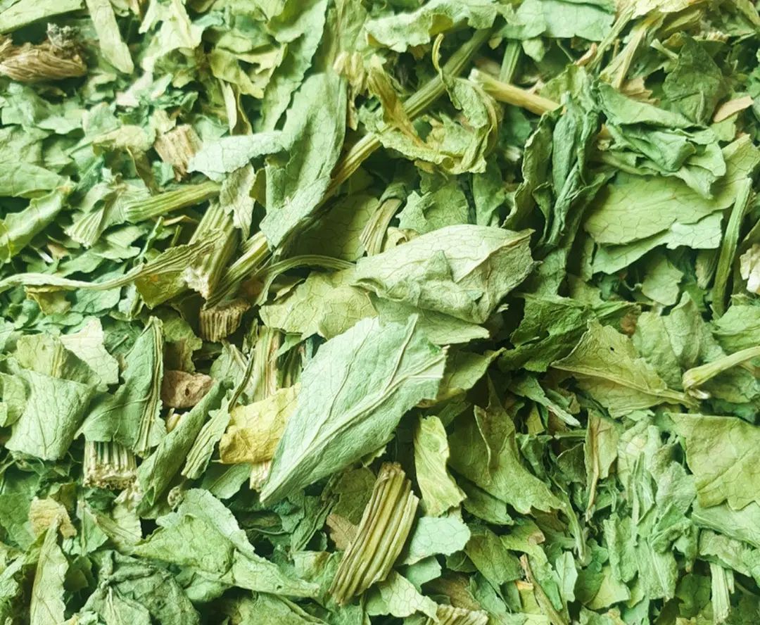 کرفس کوهی|خوردنی و آشامیدنی|اصفهان, بابوکان|دیوار