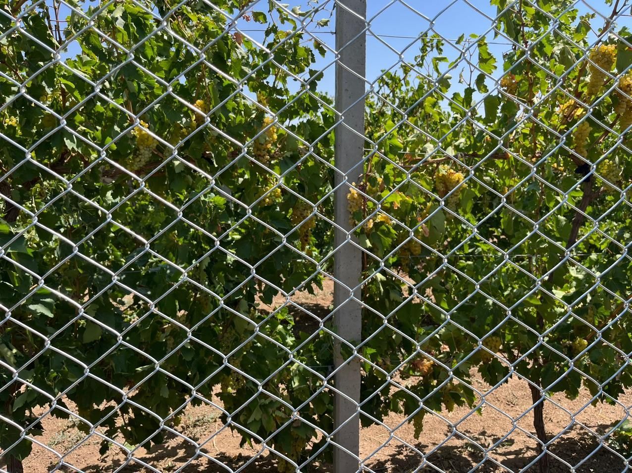 فروش و نصب انواع فنس و توری حصاری|عمده‌فروشی|تاکستان, |دیوار