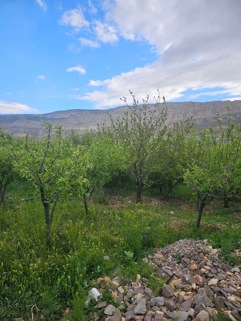 606 متر زمین ویلای دشت اول گرمابسرد دماوند|فروش زمین و ملک کلنگی|دماوند, دماوند|دیوار