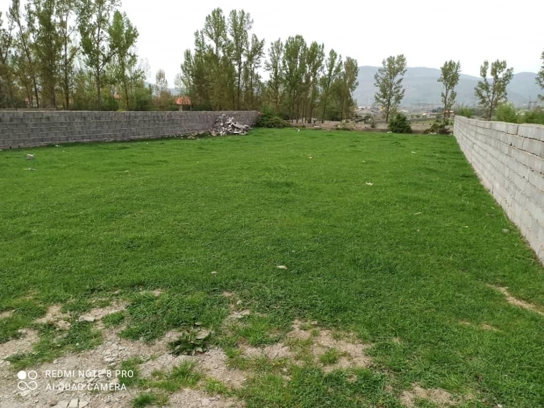 زمین 490 متری سنددار بر 20 متر پی‌قلعه|فروش زمین و ملک کلنگی|کلاردشت, |دیوار