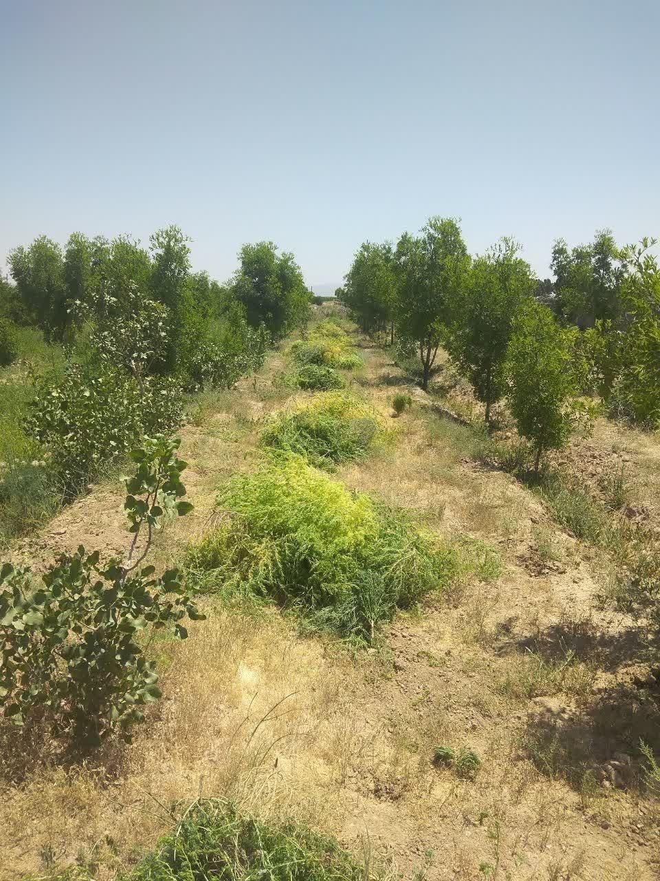 تصویر 2