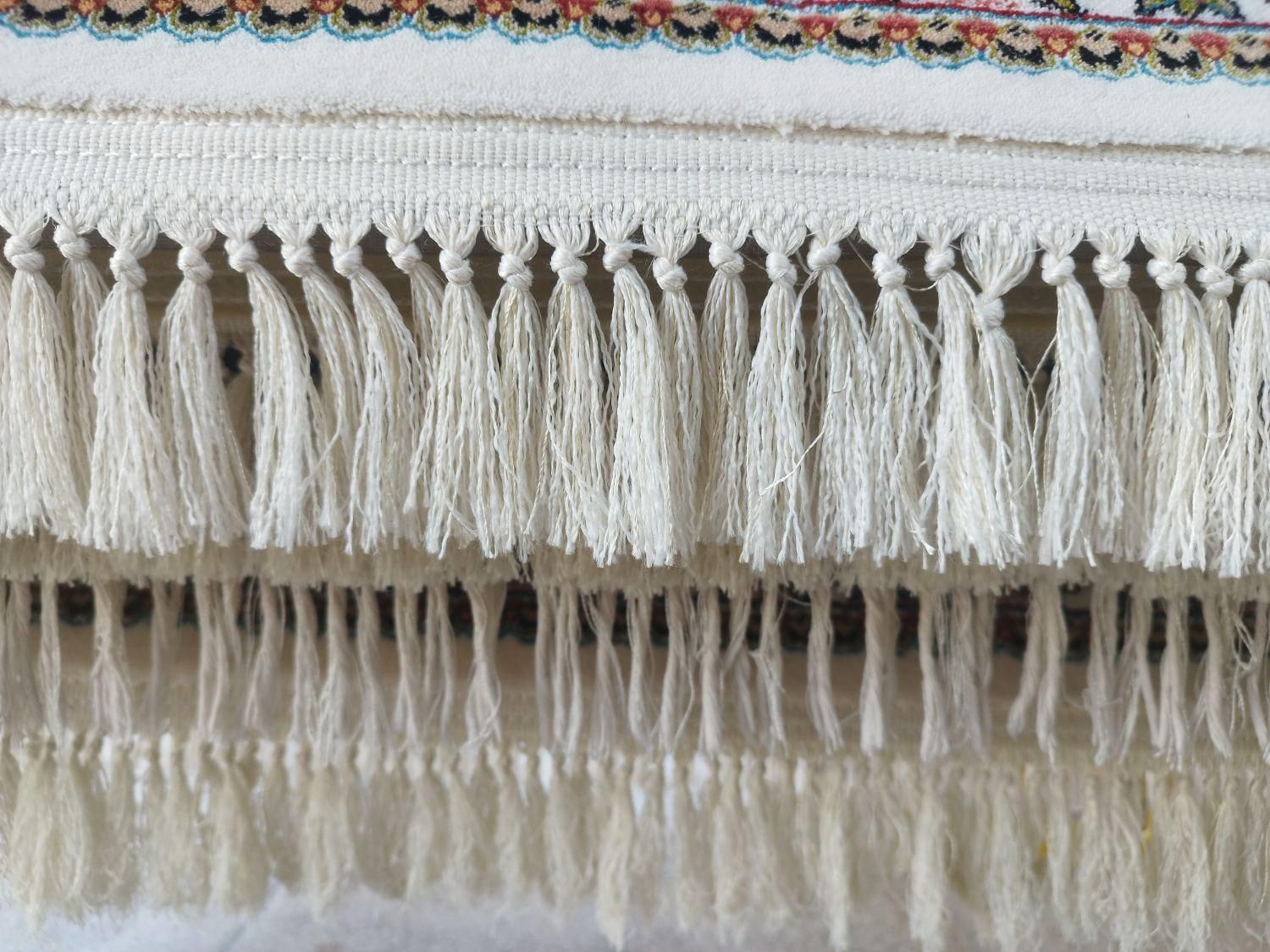 قالیشویی ومبل شویی تخت جمشید قالی شویی|خدمات نظافت|مشهد, پورسینا|دیوار