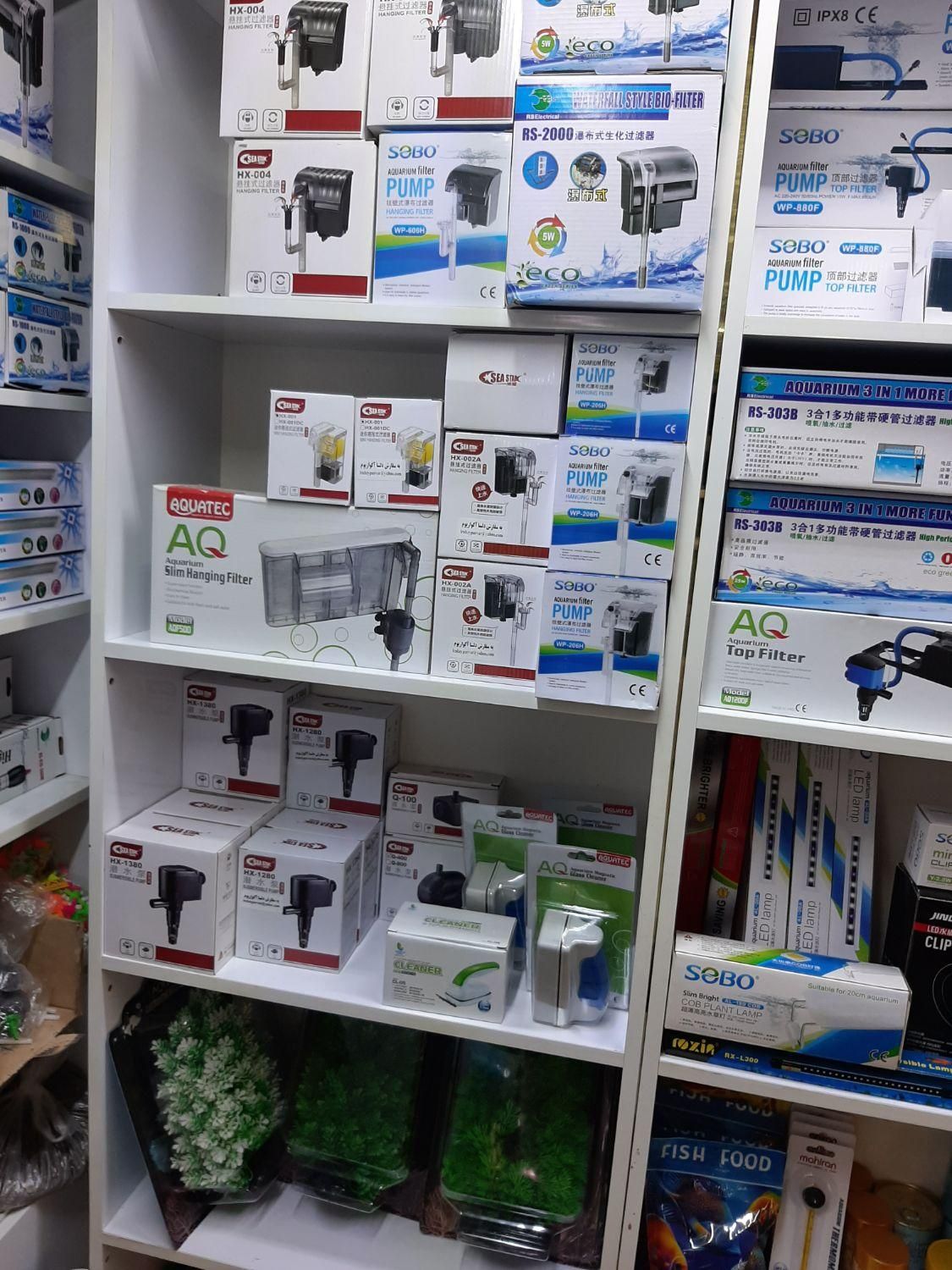 انواع تجهیزات اکواریوم و ماهی|ماهی|اصفهان, هفتون|دیوار