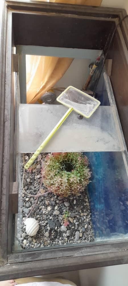 آکواریوم و لوازم با کمد ام دی اف|ماهی|پرند, فاز ۵|دیوار