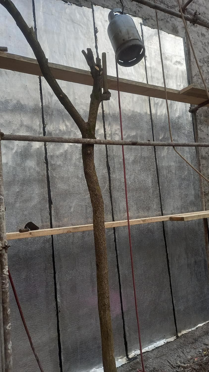 نمایندگی ایزوگام دلیجان|خدمات پیشه و مهارت|لاهیجان, یوسف آباد|دیوار