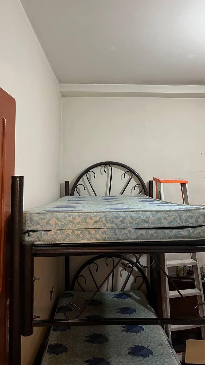 تخت دو طبقه|تخت و سرویس خواب|مشهد, بهاران|دیوار