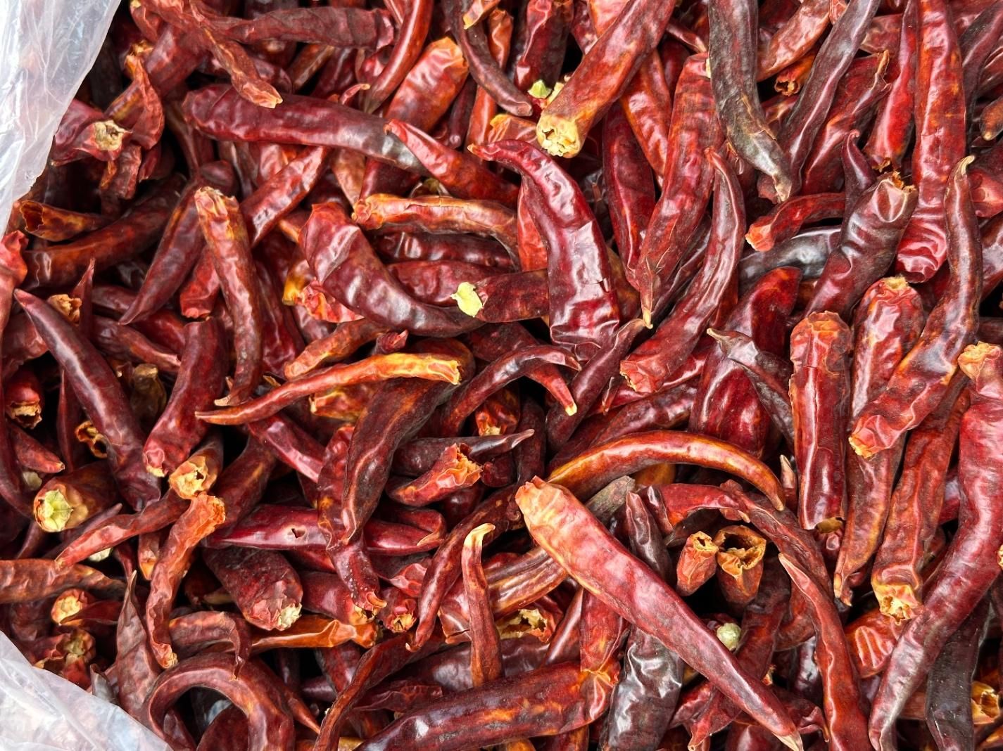 پخش عمده و خرده ادویه جات پودر و قلم و لوازم قنادی|خوردنی و آشامیدنی|تهران, بازار|دیوار