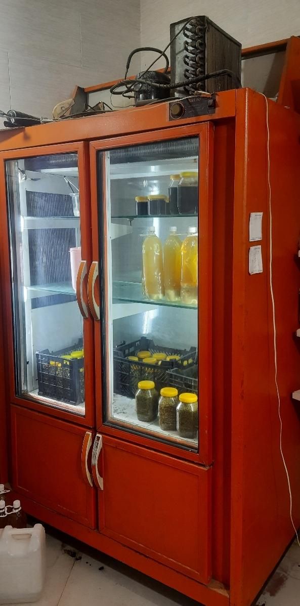 یخچال|یخچال و فریزر|لیکک, |دیوار