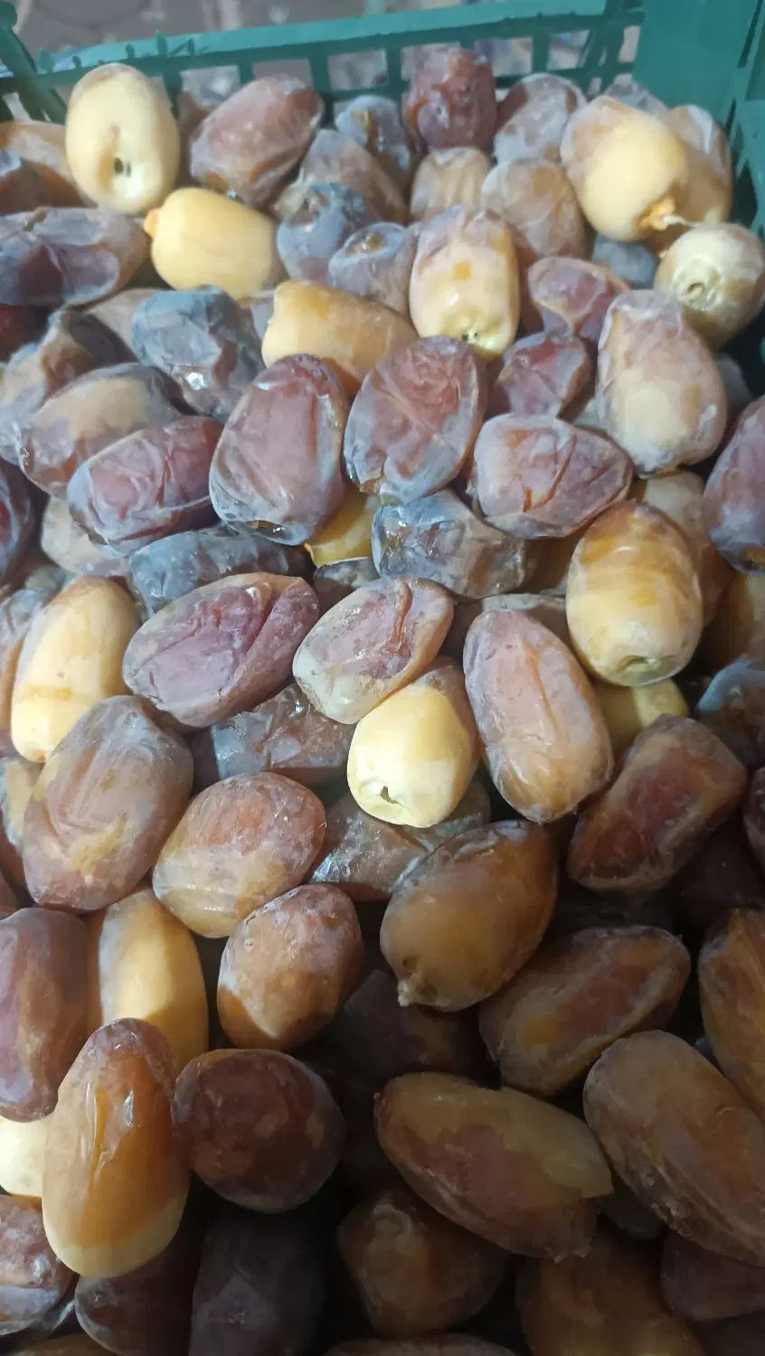انواع خرما خوزستان|خوردنی و آشامیدنی|رشت, بلوار گیلان|دیوار