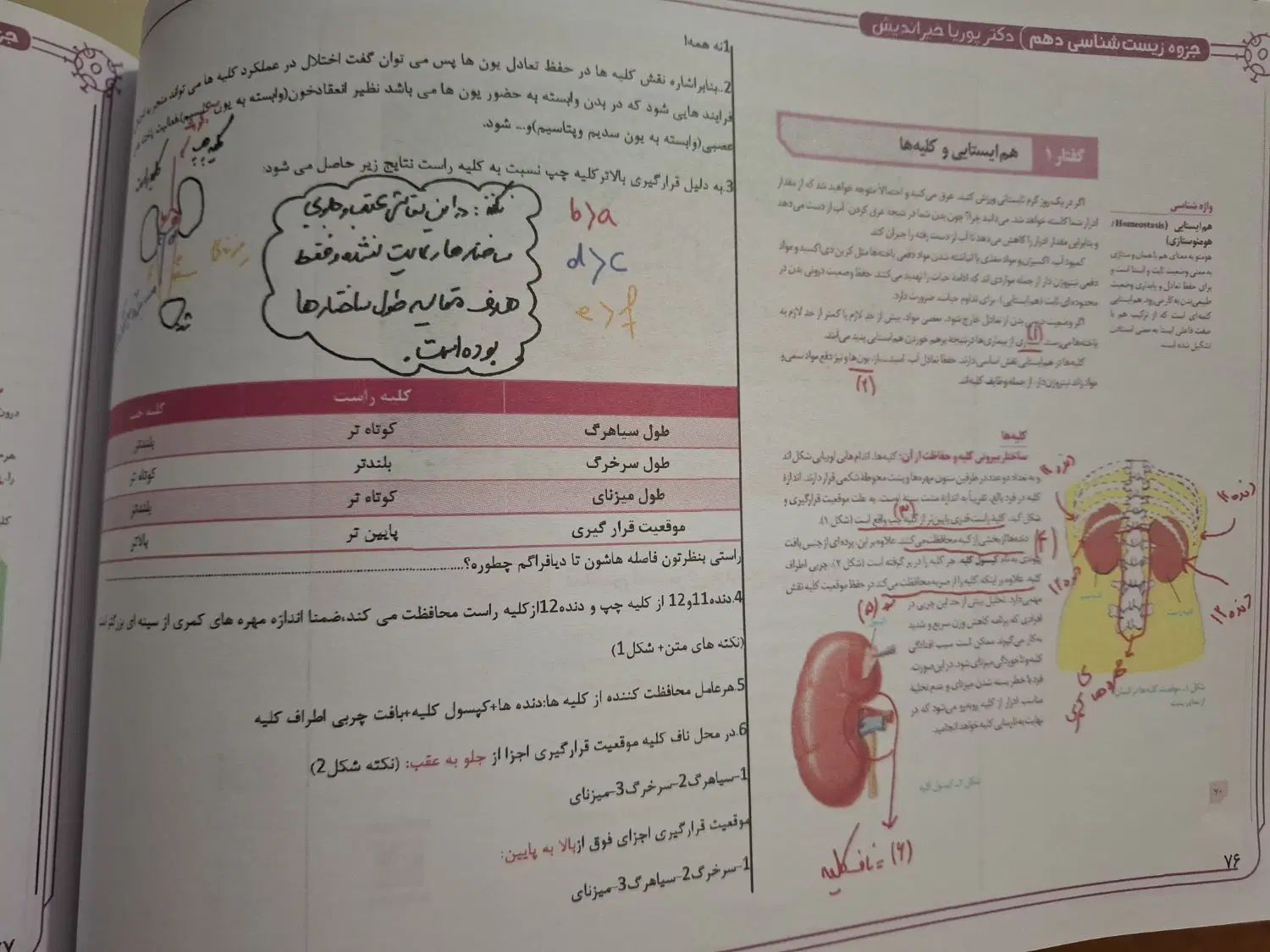 جزوه زیست دهم استاد خیر اندیش ویژه کنکور و نهایی|لوازم التحریر|خلخال, |دیوار