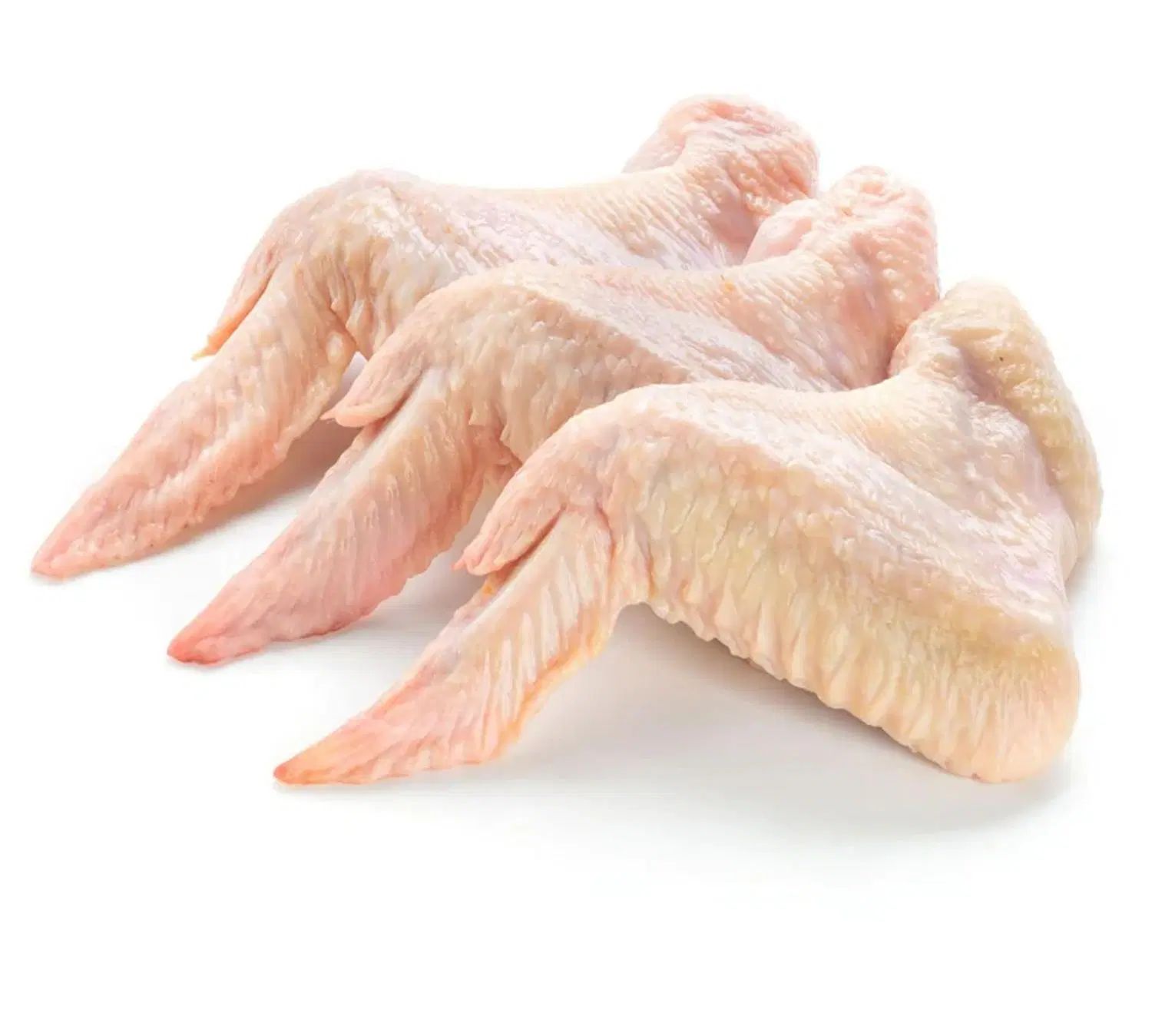 فروش شنسل سینه|خوردنی و آشامیدنی|رشت, بالاکویه|دیوار