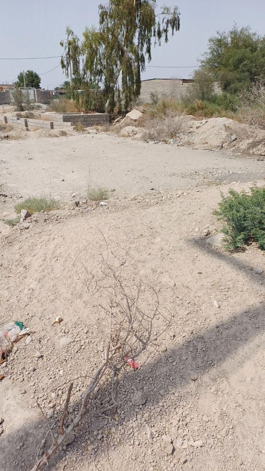 فروش مغازه ۹۰ متری عنبراباد ( بیمارستان جدید )|فروش مغازه و غرفه|جیرفت, |دیوار