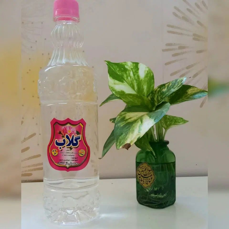 گلاب|خوردنی و آشامیدنی|تهران, دکتر هوشیار|دیوار