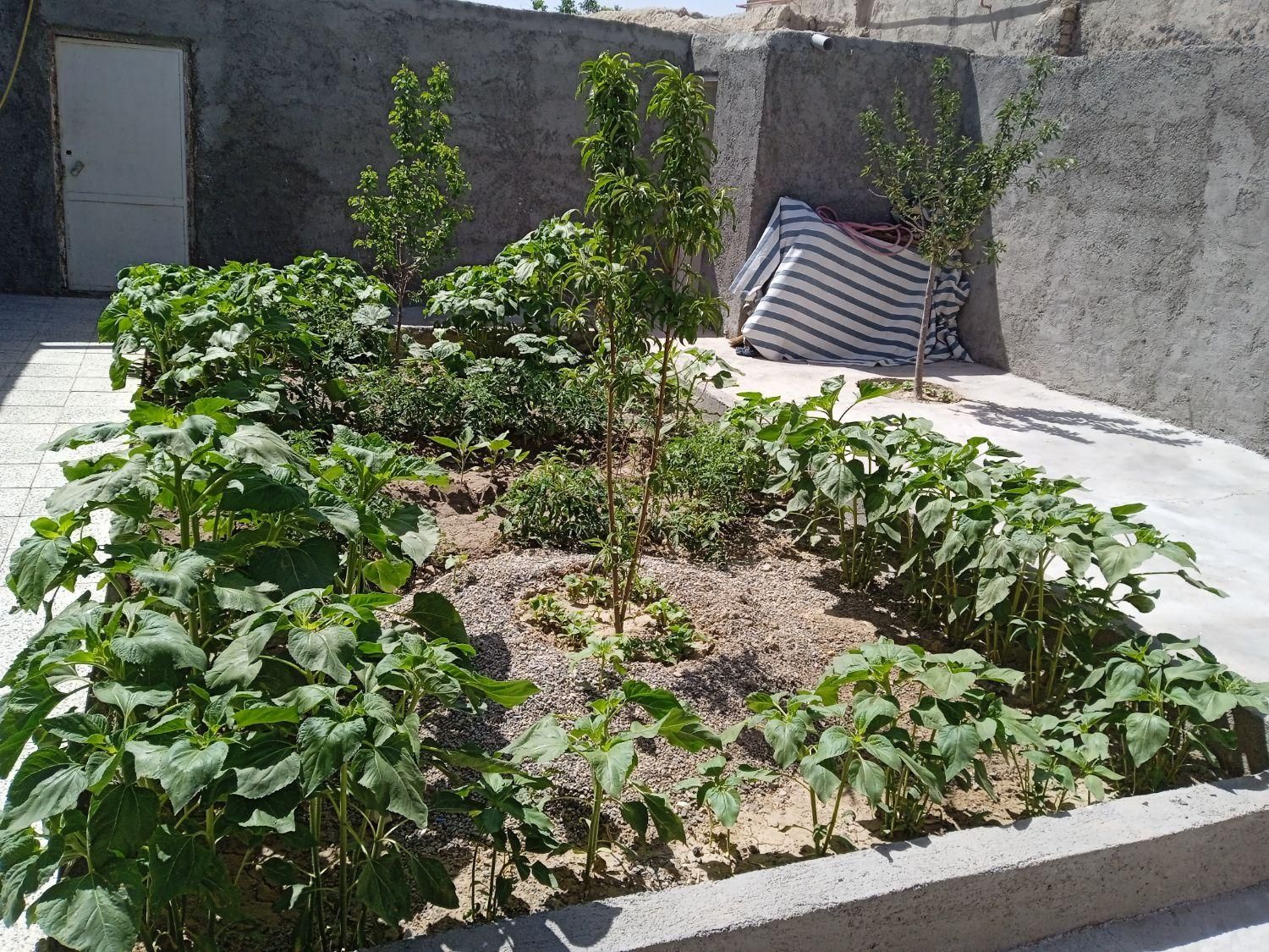 خانه ویلایی در روستای امیرآباد|فروش خانه و ویلا|چناران, |دیوار