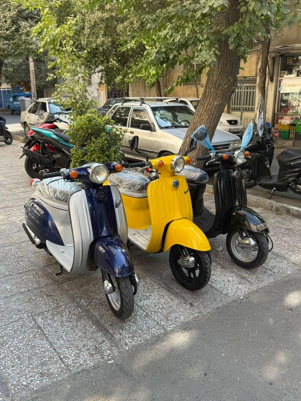 موتور پاکشتی سوزوکی ورد درحد صفر 50cc|موتورسیکلت|تهران, گمرک|دیوار