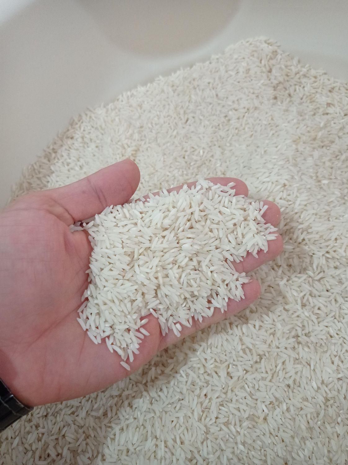 برنج محلی درجه1گیلان|عمدهفروشی|کیاشهر, |دیوار