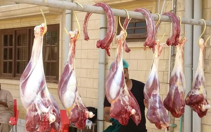 فروش و توزیع گوشت تازه شترمرغ و شتر|خوردنی و آشامیدنی|قم, زنبیل آباد|دیوار