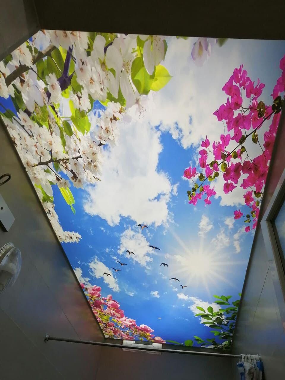 طراح و مجری کناف - سقف کشسان - سقف کاذب|خدمات پیشه و مهارت|قم, زنبیل آباد|دیوار