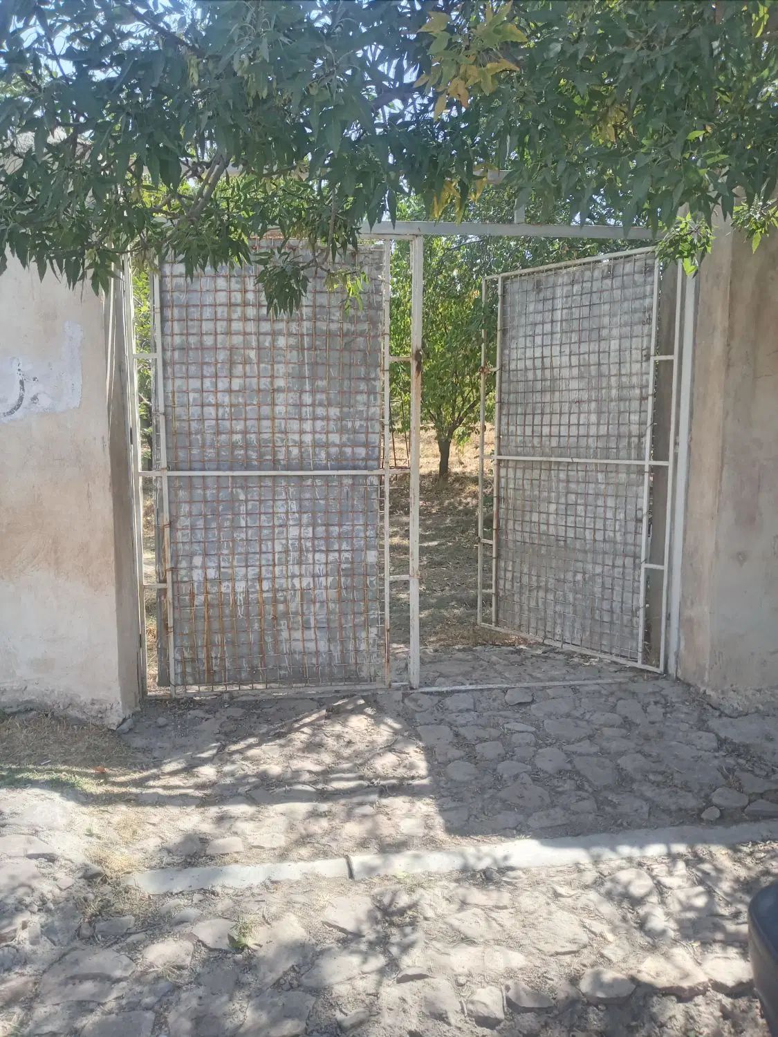 فروش باغ ۱۰۰۰ متری روستای  فشند|فروش زمین و ملک کلنگی|کرج, شاهین‌ویلا|دیوار