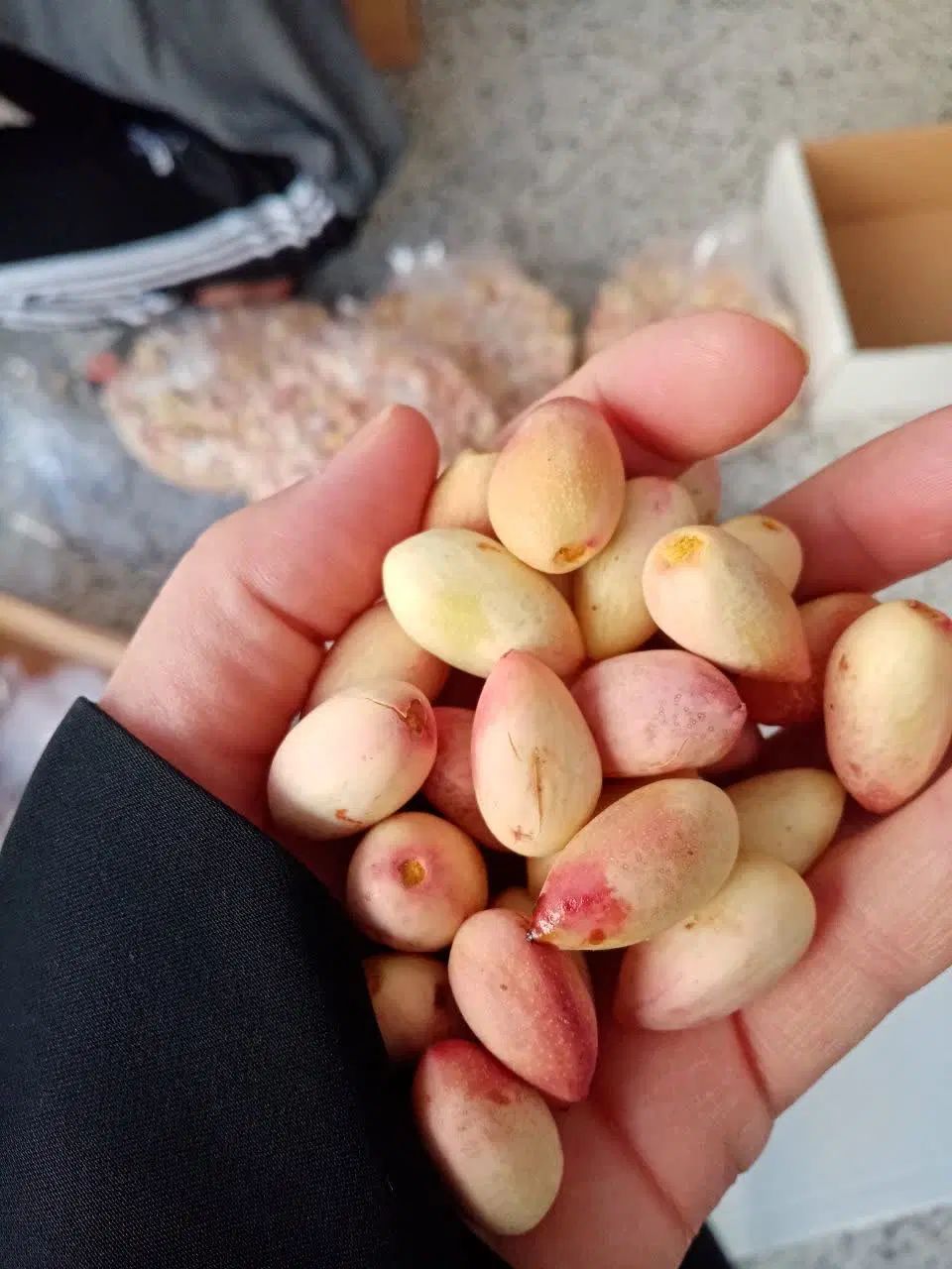 پسته تازه و درجه یک|خوردنی و آشامیدنی|مشهد, ایثار|دیوار