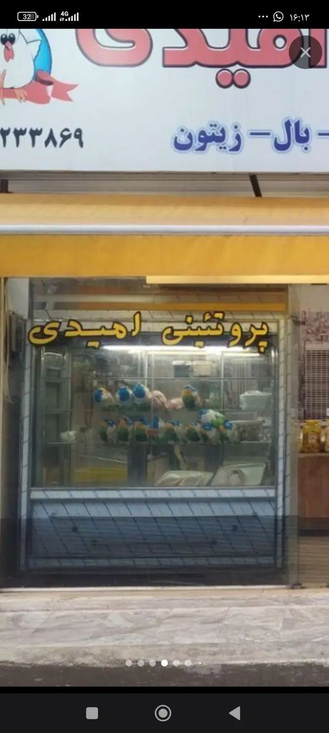 یخچال ایستاده / یخچال ویترینی/یخچال استیل ۶ درب|فروشگاه و مغازه|رشت, دروازه لاکان|دیوار