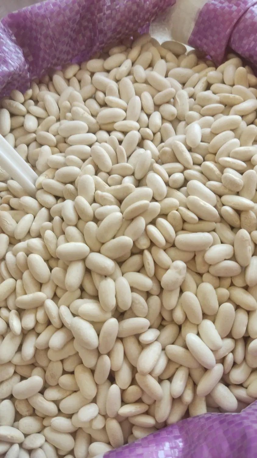 حبوبات برنج درجه یک|خوردنی و آشامیدنی|تهران, خاوران|دیوار