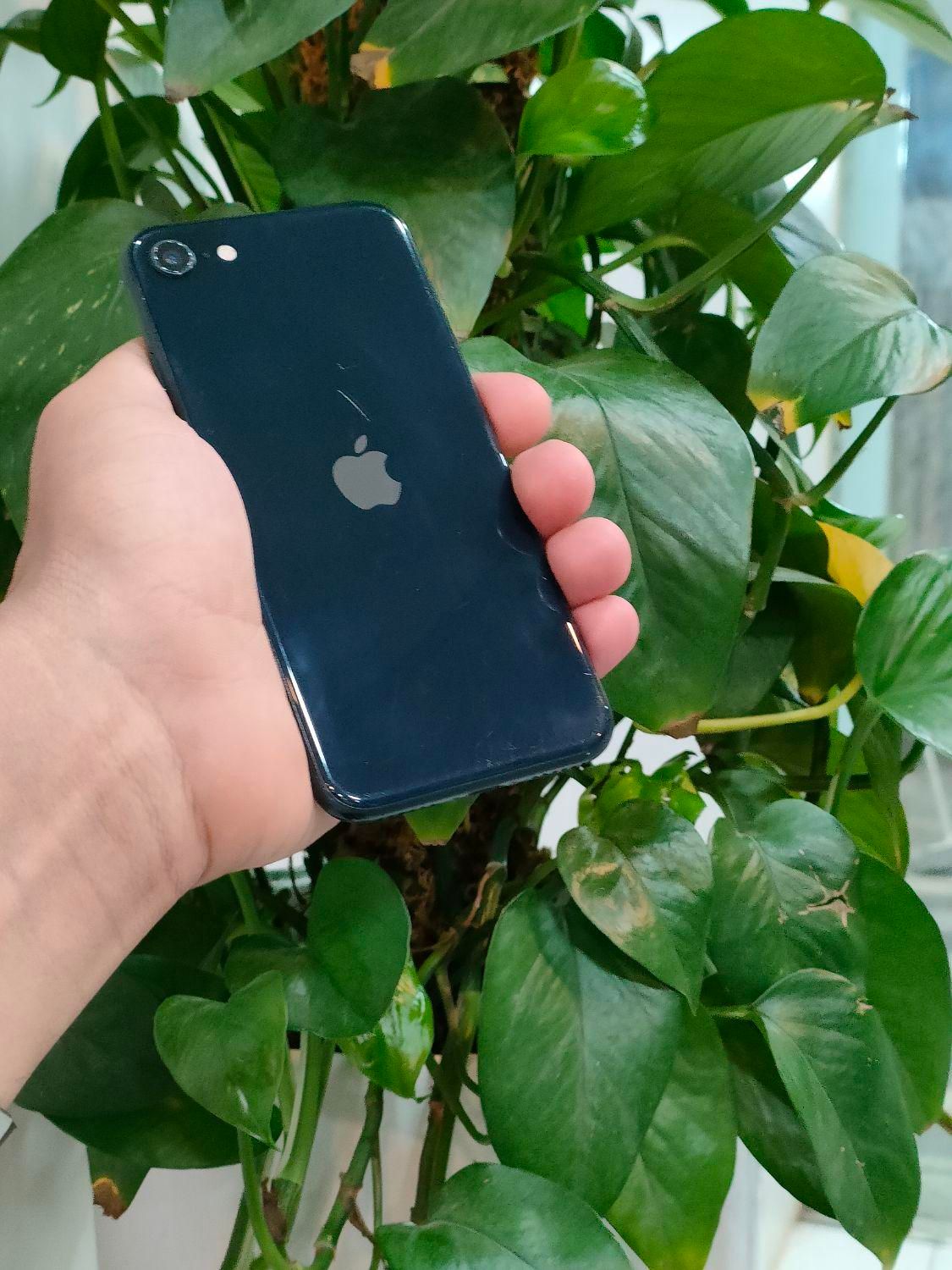IPHONE SE 2022|موبایل|کرج, گوهردشت|دیوار