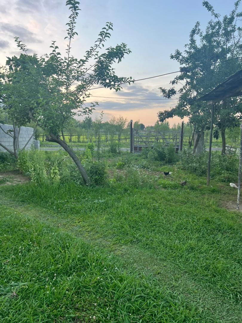 فروش زمین مسکونی ۲۷۵متری مسکونی|فروش زمین و ملک کلنگی|شاندرمن, |دیوار